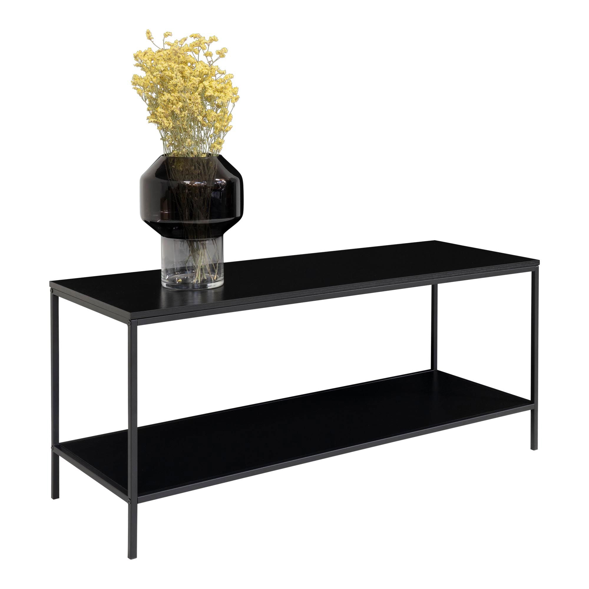 Vita TV stand - TV stand, 2 shelves, black, black frame 100x36x45 cm