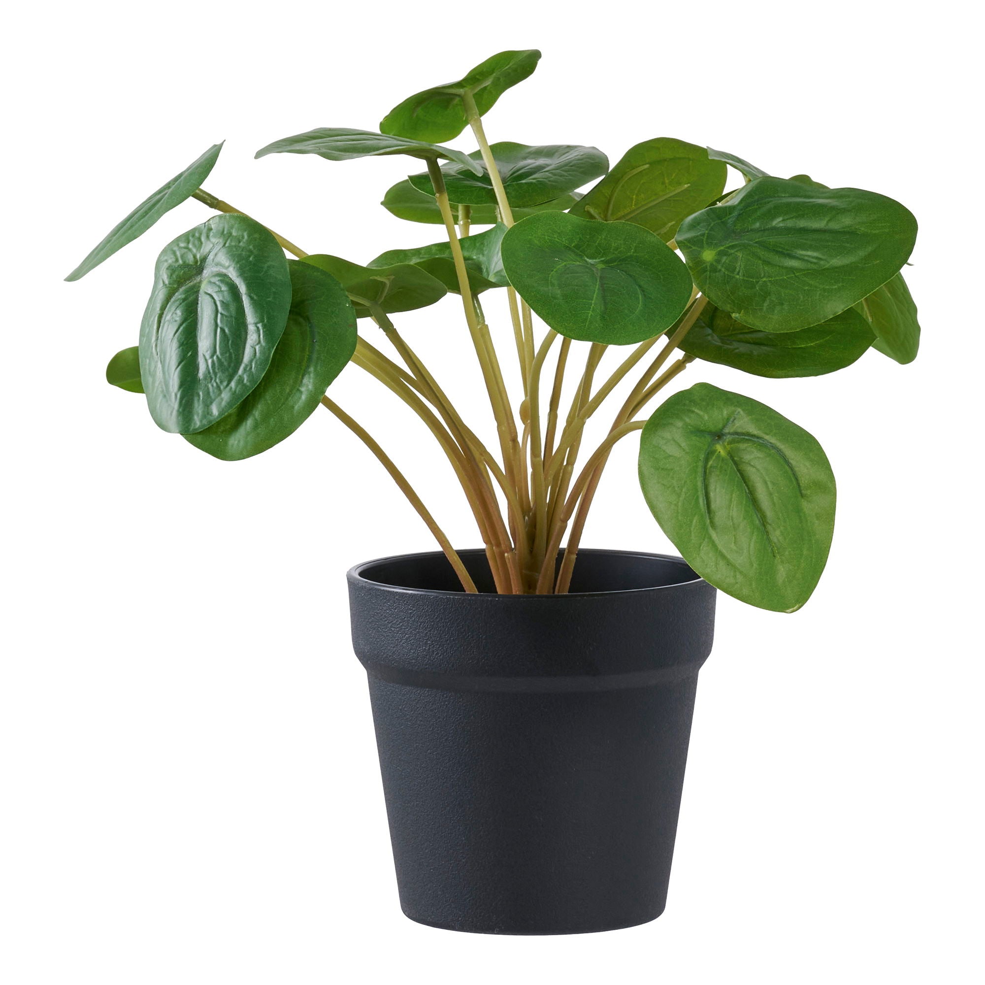 Pelia - Artificial plant, green H:28 cm