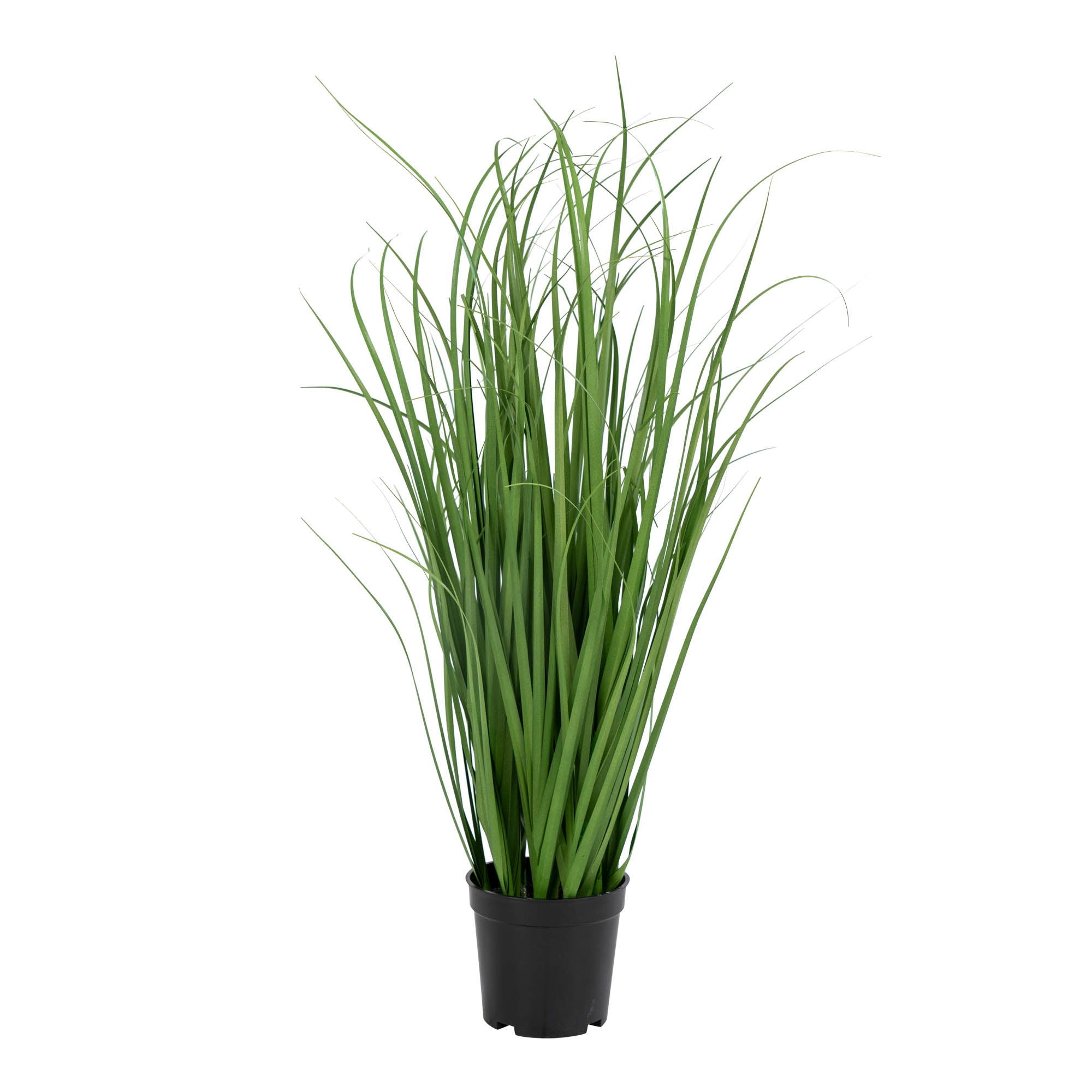 Poa Grass - Artificial poa grass, green H:68 cm