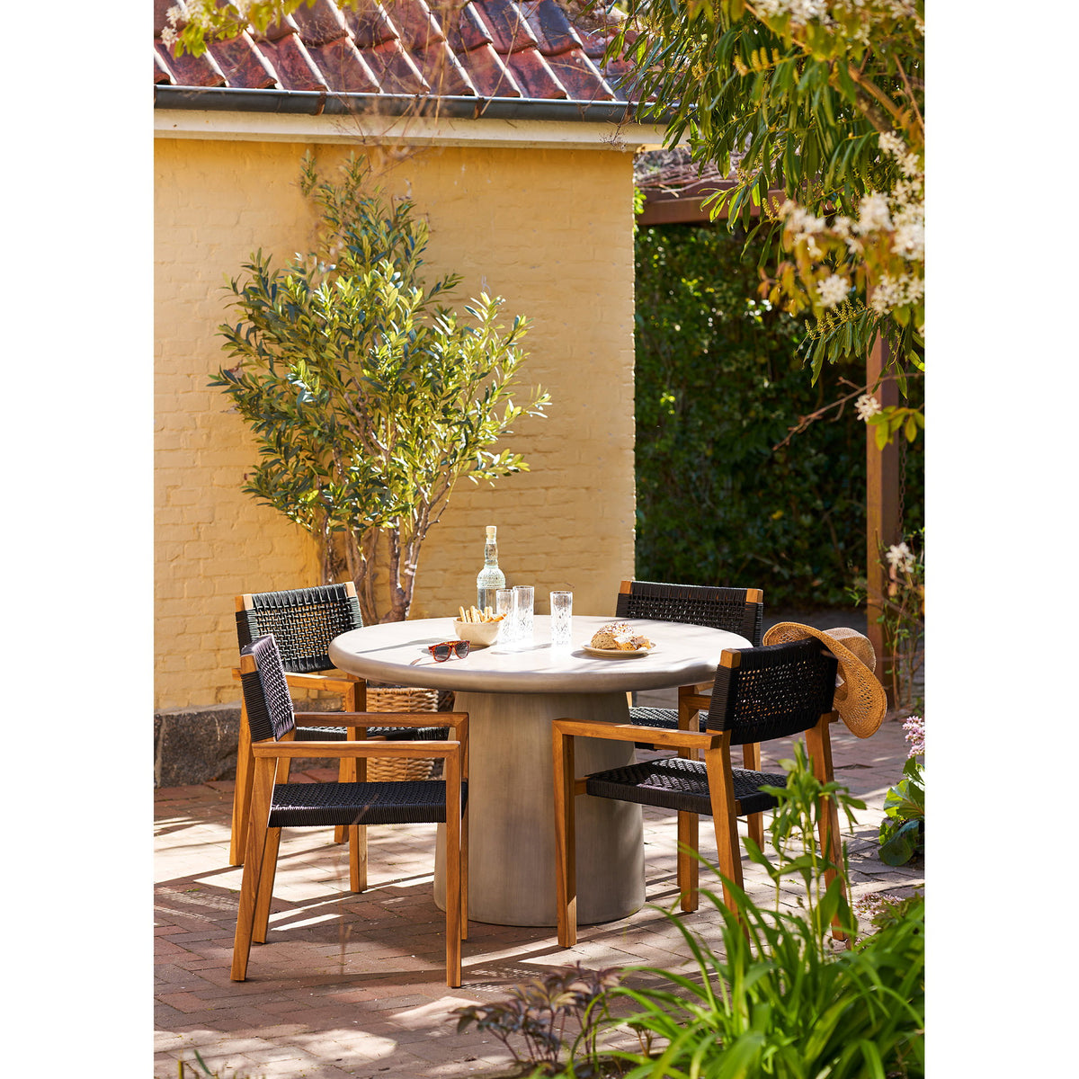 Olive Tree - Green