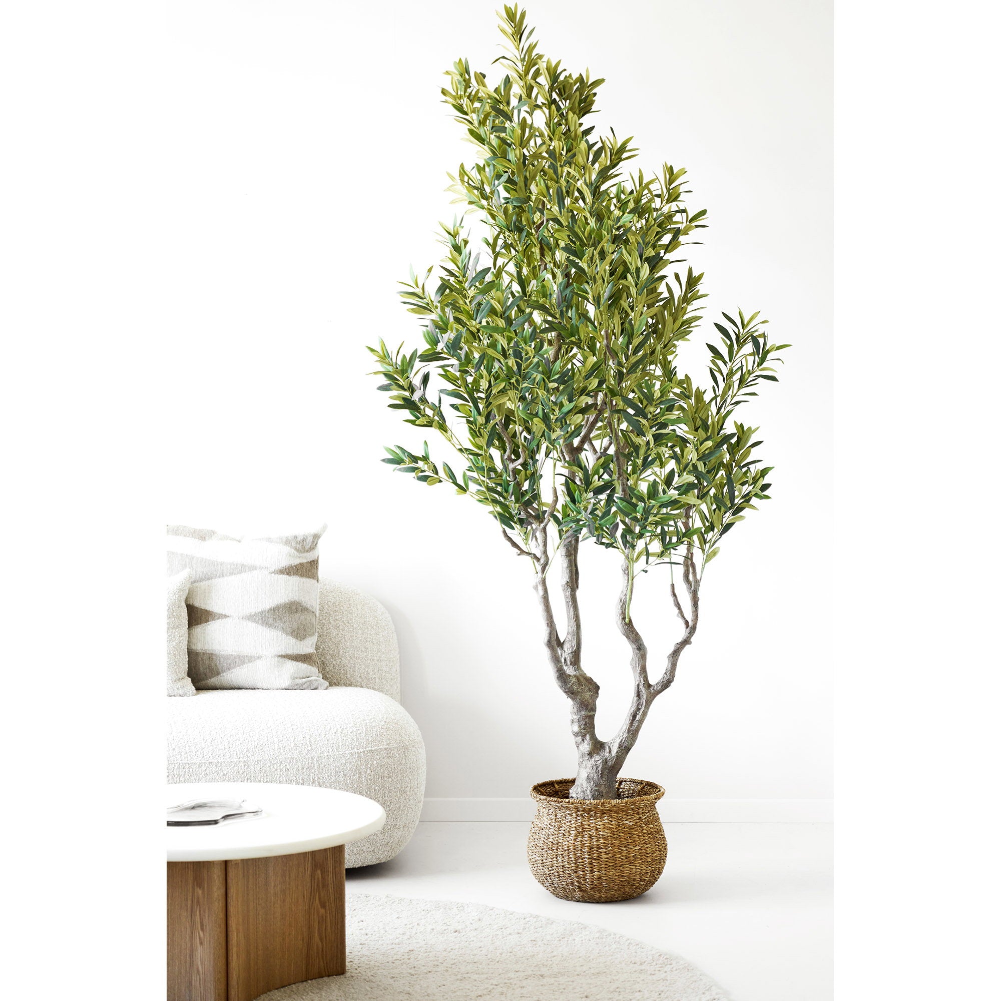 Olive Tree - Green