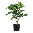 Fig Tree - Artificial plant, green H:60 cm