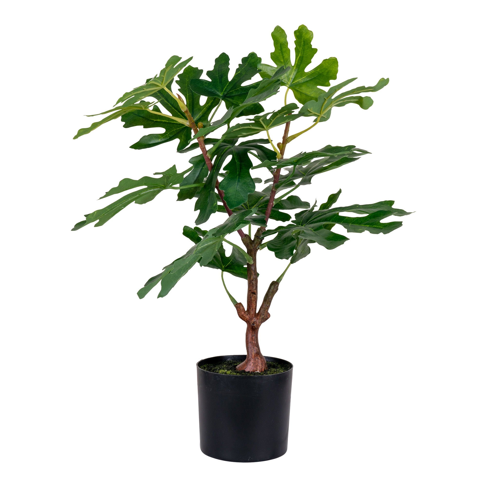 Fig Tree - Artificial plant, green H:60 cm