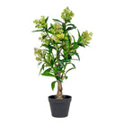 Skimmia Tree - Artificial plant, green H:75 cm