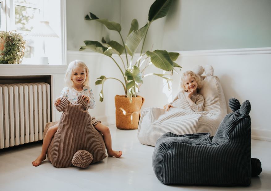 Smarter Collections Bean Bags