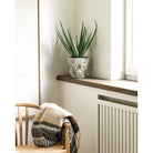 Flowerpot - Green / White