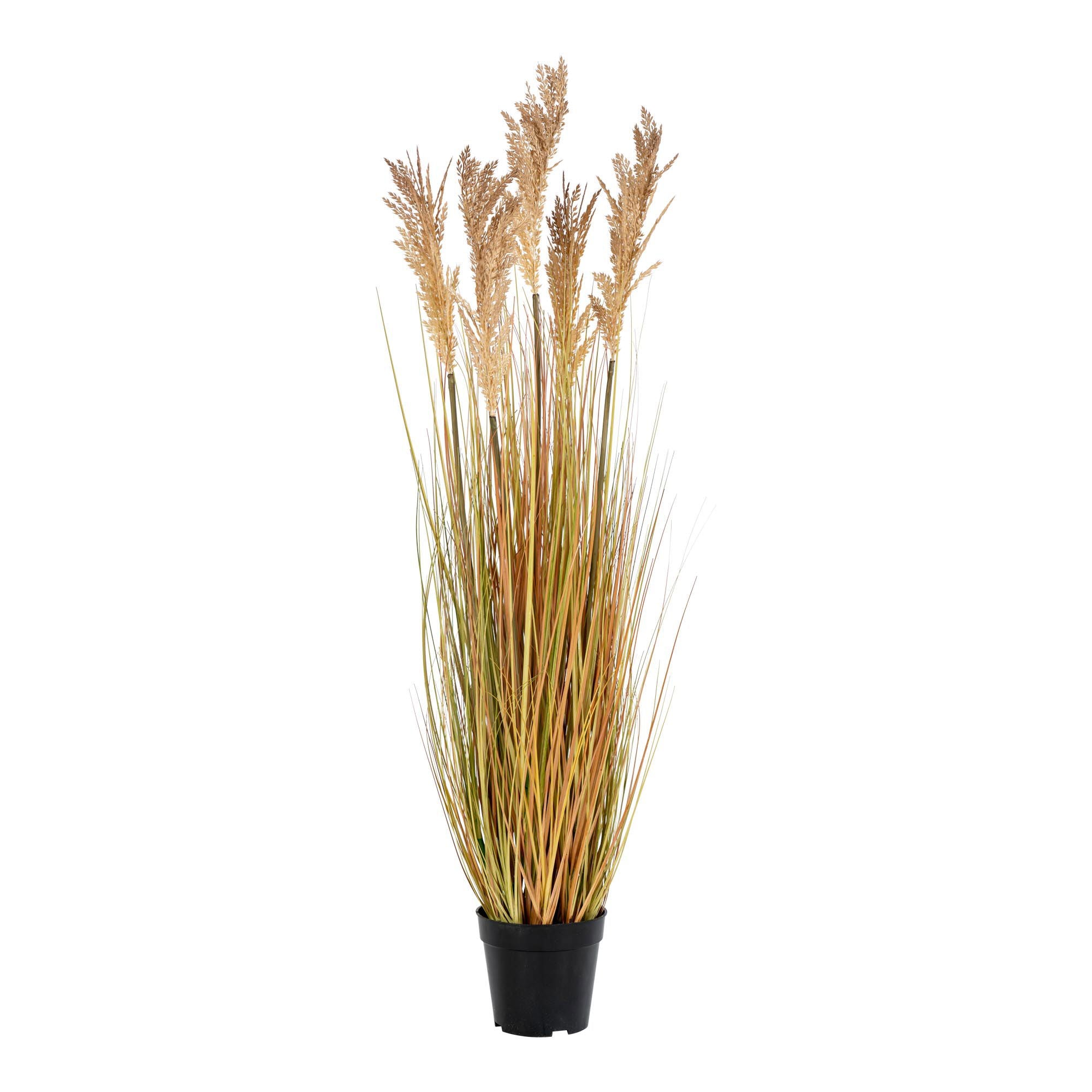 Sorghum Grass - Artificial plant, nature H:110 cm 