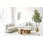 Olive Tree - Green